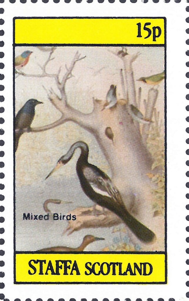 Mixed Birds