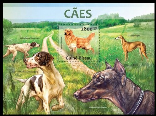 Dogs