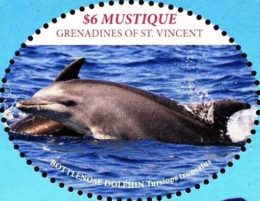 Bottlenosef dolphins