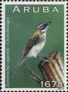 Stamp, Rufous-collared Sparrow (Zonotrichia capensis), Aruba,  , Animals (Fauna), Birds