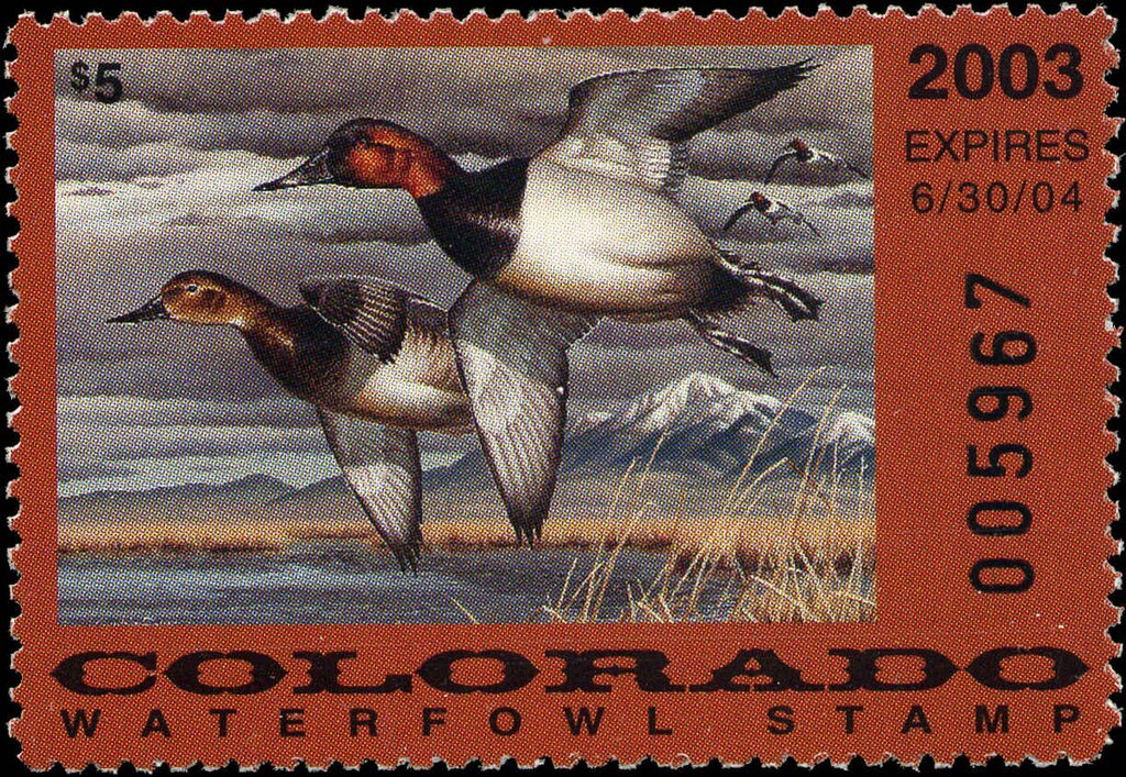 Canvasbacks