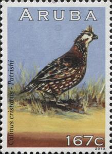 Stamp, Crested Bobwhite (Colinus cristatus), Aruba,  , Animals (Fauna), Birds