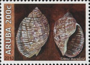 Stamp, Tonna maculosa, Aruba,  , Animals (Fauna), Molluscs, Sea Life, Shells, Snails and Slugs