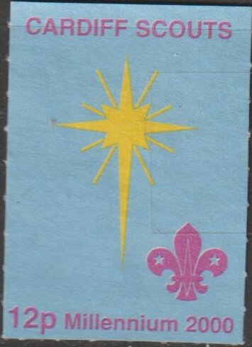 Cardiff Scouts Millenium. Star and Emblem