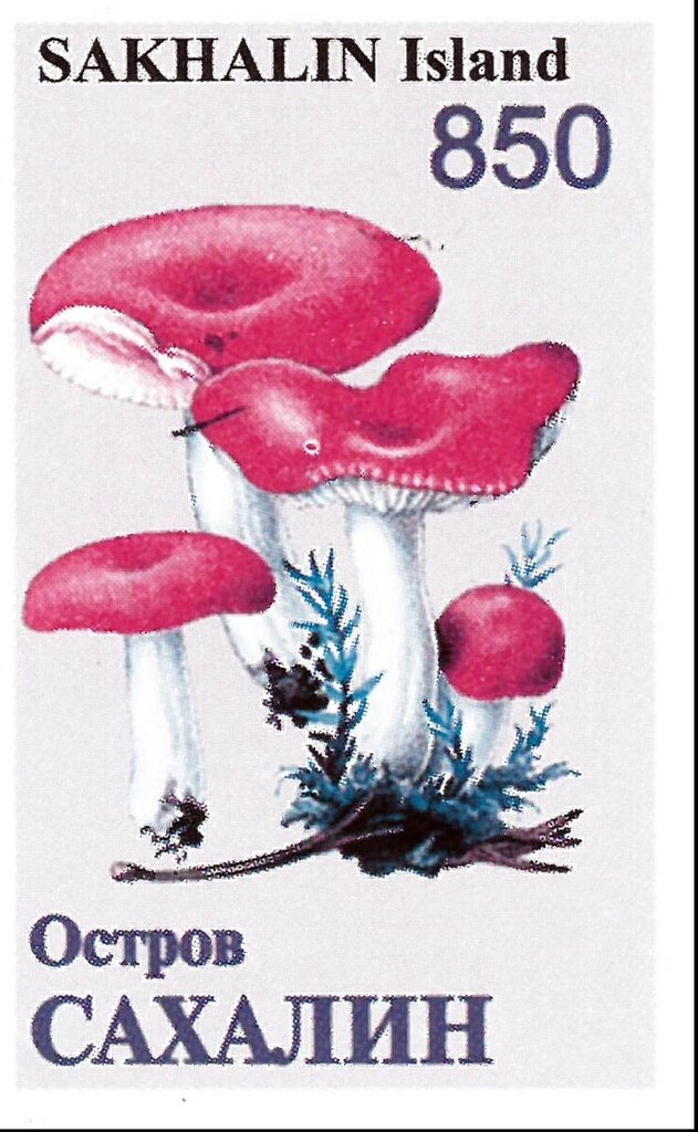 Mushrooms