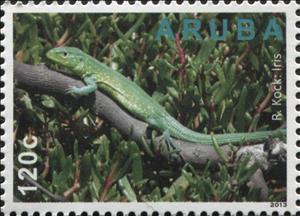 Stamp, R. Kock: Lizard, Aruba,  , Animals (Fauna), Lizards, Photographs, Photography, Reptiles