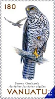 Stamp, Brown Goshawk (Accipiter fasciatus vigilax), Vanuatu,  , Animals (Fauna), Birds, Birds of Prey
