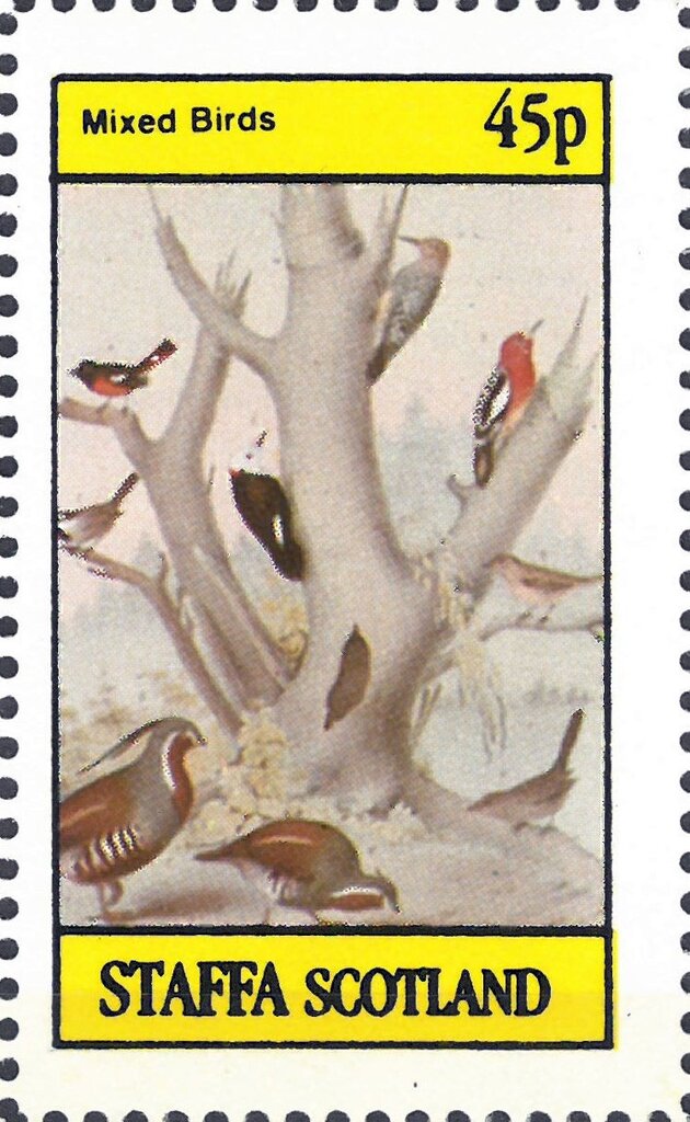 Mixed Birds