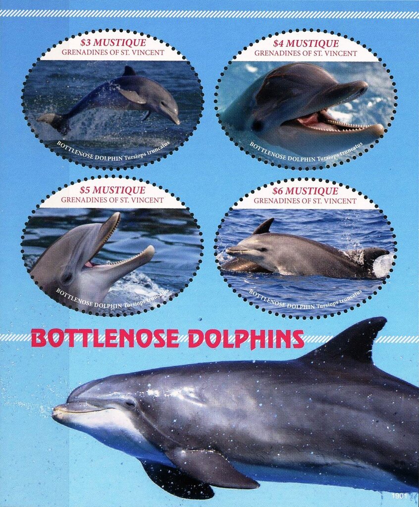 Bottlenosed dolphins
