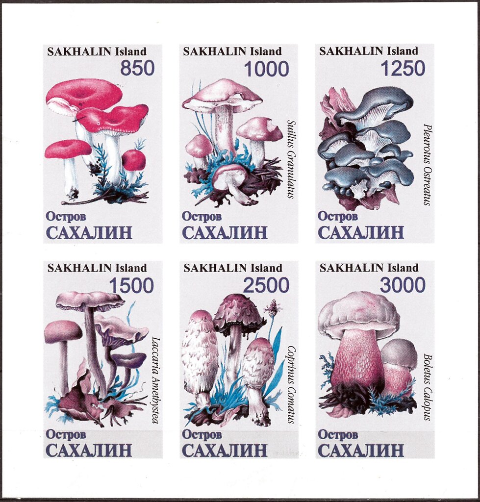 Mushrooms