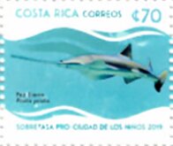 Largetooth Sawfish (Pristis pristis)