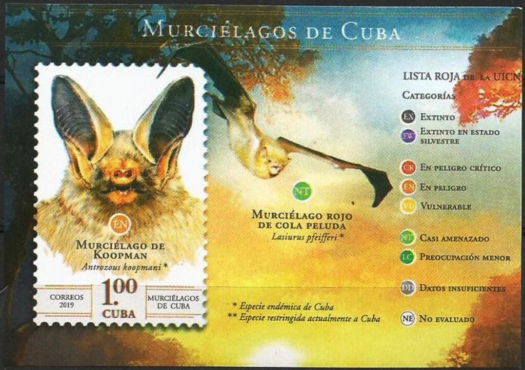 Bats