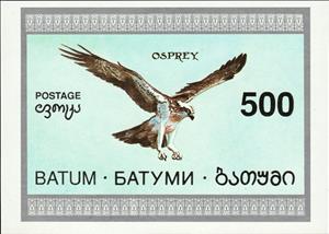 Souvenir Sheet, Osprey, Cinderellas,  , Animals (Fauna), Birds, Birds of Prey