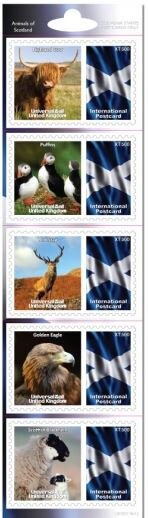 Animals of Scotland