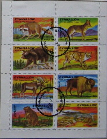 Animal Series. North America