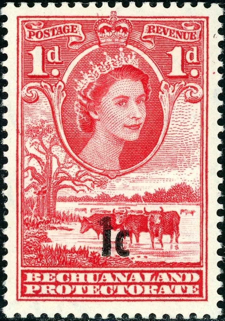 Queen Elizabeth II, Cattle (Bos primigenius taurus)