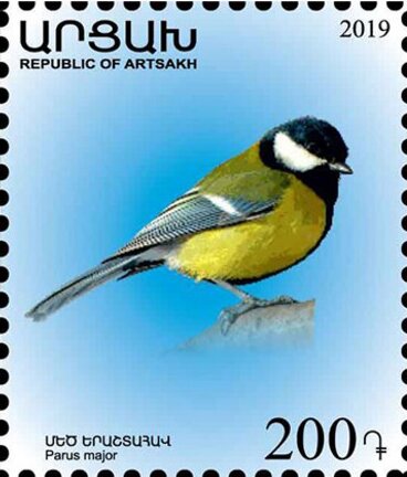 Great Tit (Parus major)