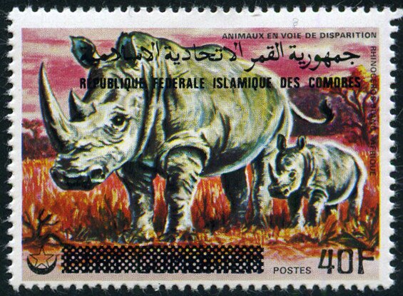White Rhinoceros (Ceratotherium simum), overprint