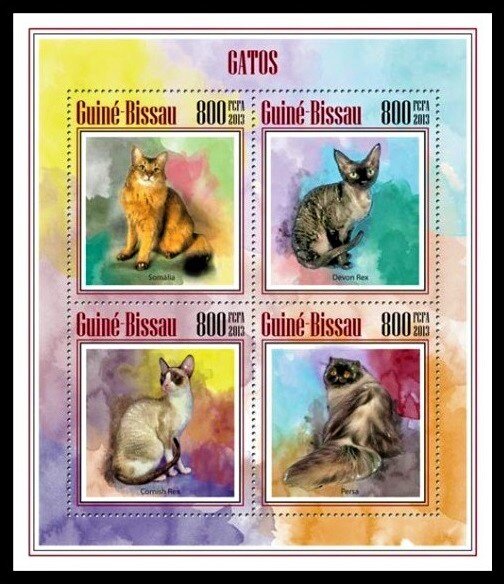 Cats