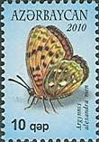 Fritillary Butterfly (Argynnis alexandra)