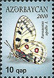 Apollo (Parnassius apollo)