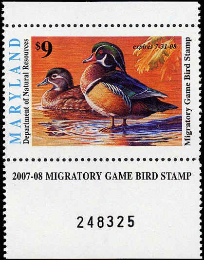 Wood Duck