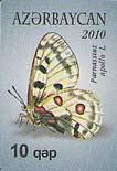 Apollo (Parnassius apollo)