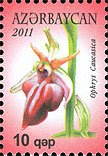 Stamp, Ophrys sphegodes subsp.mammosa (syn.Ophrys caucasica), Azerbaijan,  , Flowers, Orchids, Plants (Flora)