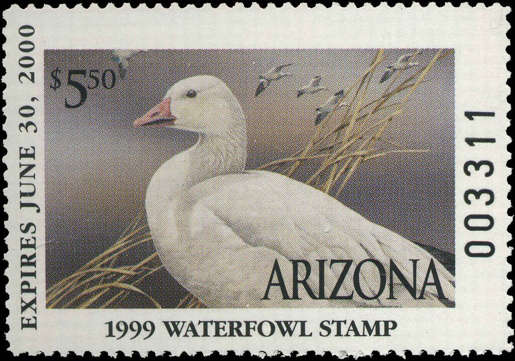 Snow Goose