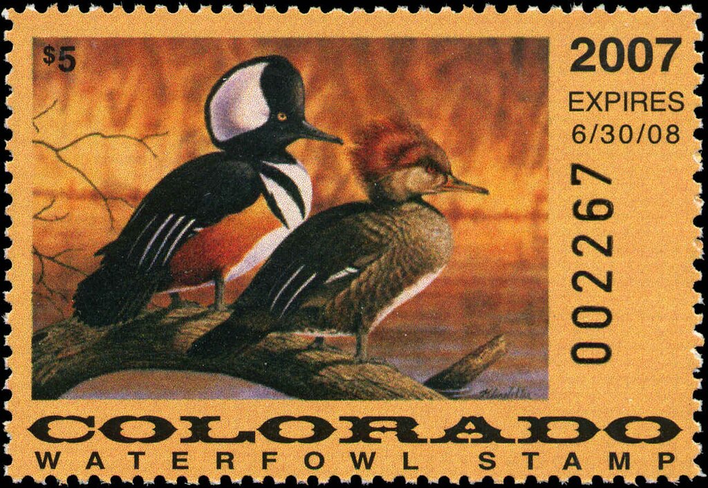 Hooded Merganser