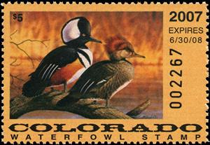Stamp, Hooded Merganser, United States of America,  , Animals (Fauna), Birds, Ducks, Hunting