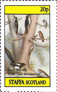 Stamp, Mixed Birds, Cinderellas,  , Animals (Fauna), Birds
