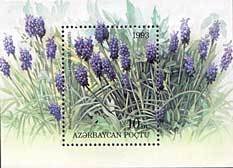 Souvenir Sheet, Muscari elecostomum, Azerbaijan,  , Flowers, Plants (Flora)