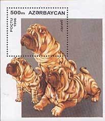 Shar Pei (Canis lupus familiaris)