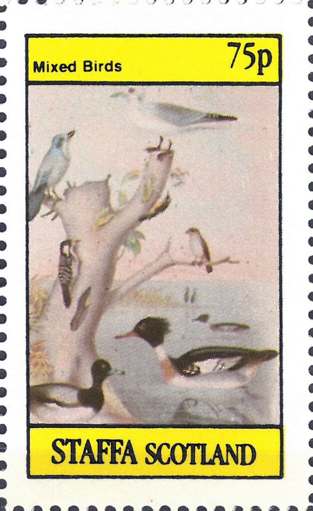 Mixed Birds