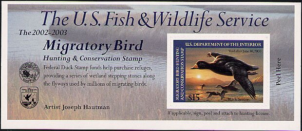 Stamp, Black Scoter, United States of America,  , Animals (Fauna), Birds, Ducks, Hunting
