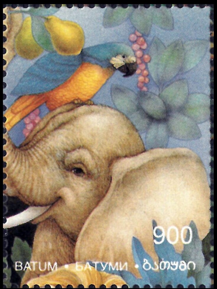 Animals