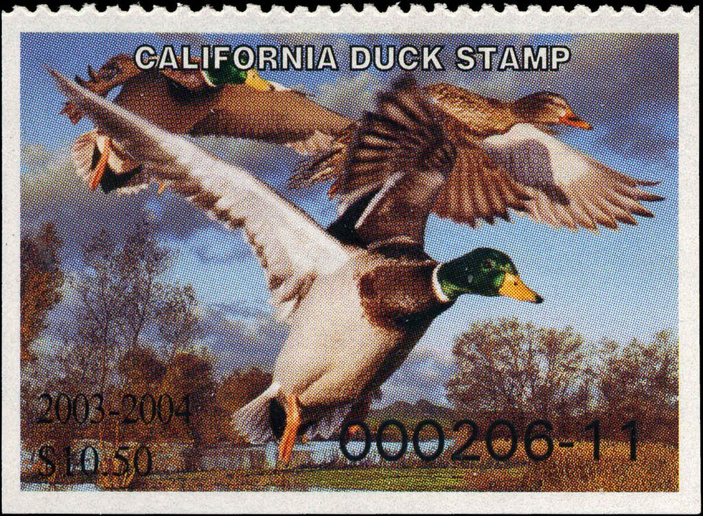 Mallards