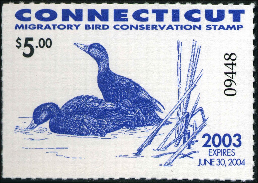 Black Duck