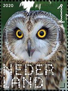 Stamp, Short-Eared Owl (Asio flammeus), Netherlands,  , Animals (Fauna), Birds, Owls