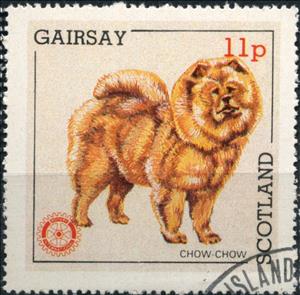 Stamp, Chow Chow, Cinderellas,  , Animals (Fauna), Dogs, Mammals