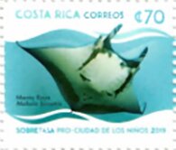 Giant Manta Ray (Mobula birostris)