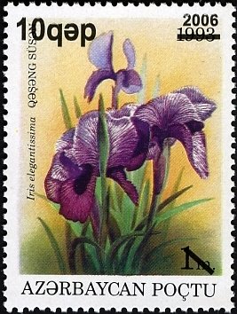 Flora (Flowers - General)