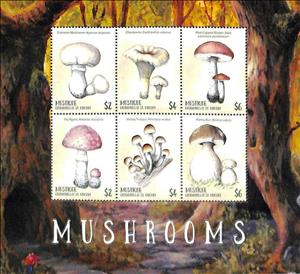 Mini Sheet, Mushrooms, Saint Vincent Grenadines,  , Mushrooms