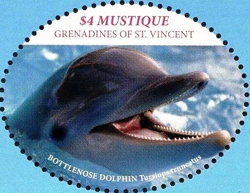 Bottlenosef dolphins