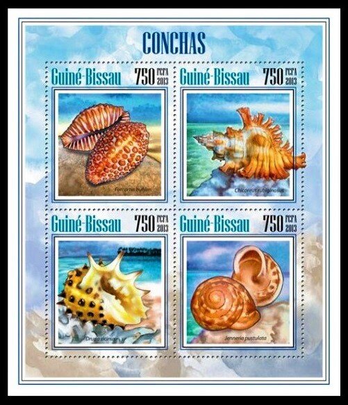 Shells