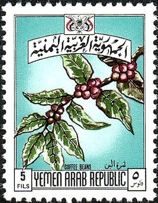 Branch of a coffee shrub