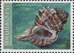 Stamp, Cymatium caribbaeum, Aruba,  , Animals (Fauna), Molluscs, Sea Life, Shells, Snails and Slugs