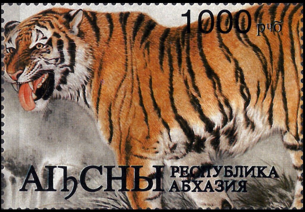 Year of the Tiger 1998