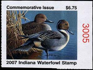 Stamp, Pintails, United States of America,  , Animals (Fauna), Birds, Ducks, Hunting